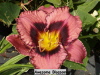 no image available at present.jpg 